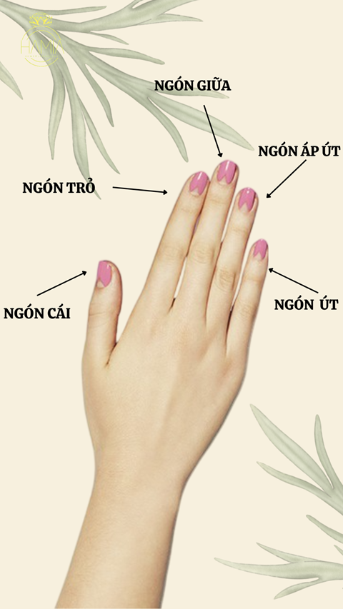 Ý NGHĨA CÁC NGÓN TAY ĐEO NHẪN