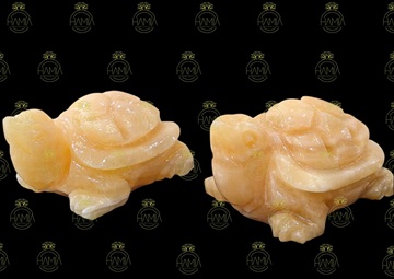 Rùa Ngọc Hoàng Long